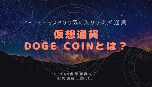【仮想通貨Dogecoin】イーロン・マスクのお気入りDogecoin（ドージコイン）とは？